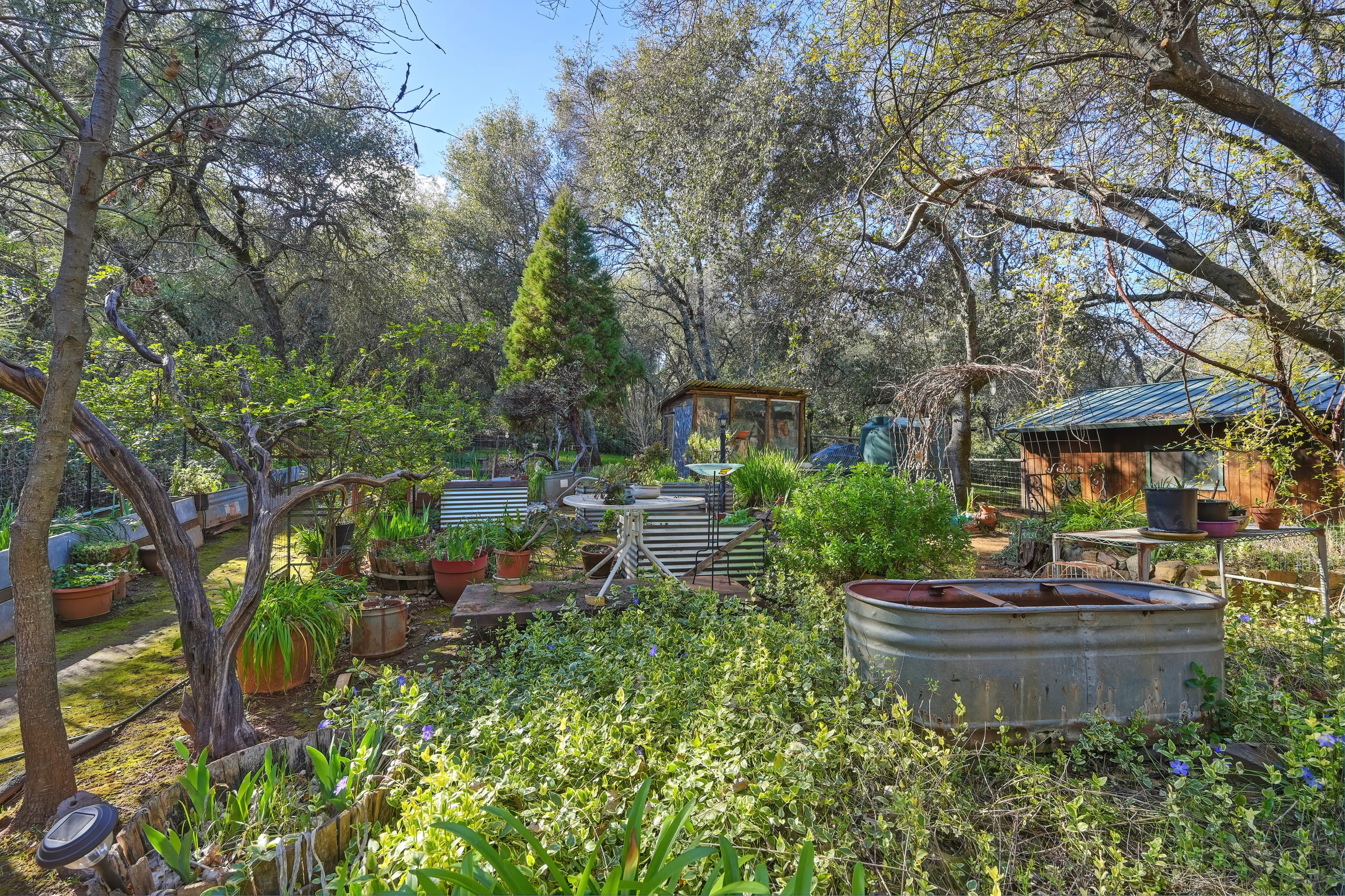 4651 Pilot Creek Ln Photo 21