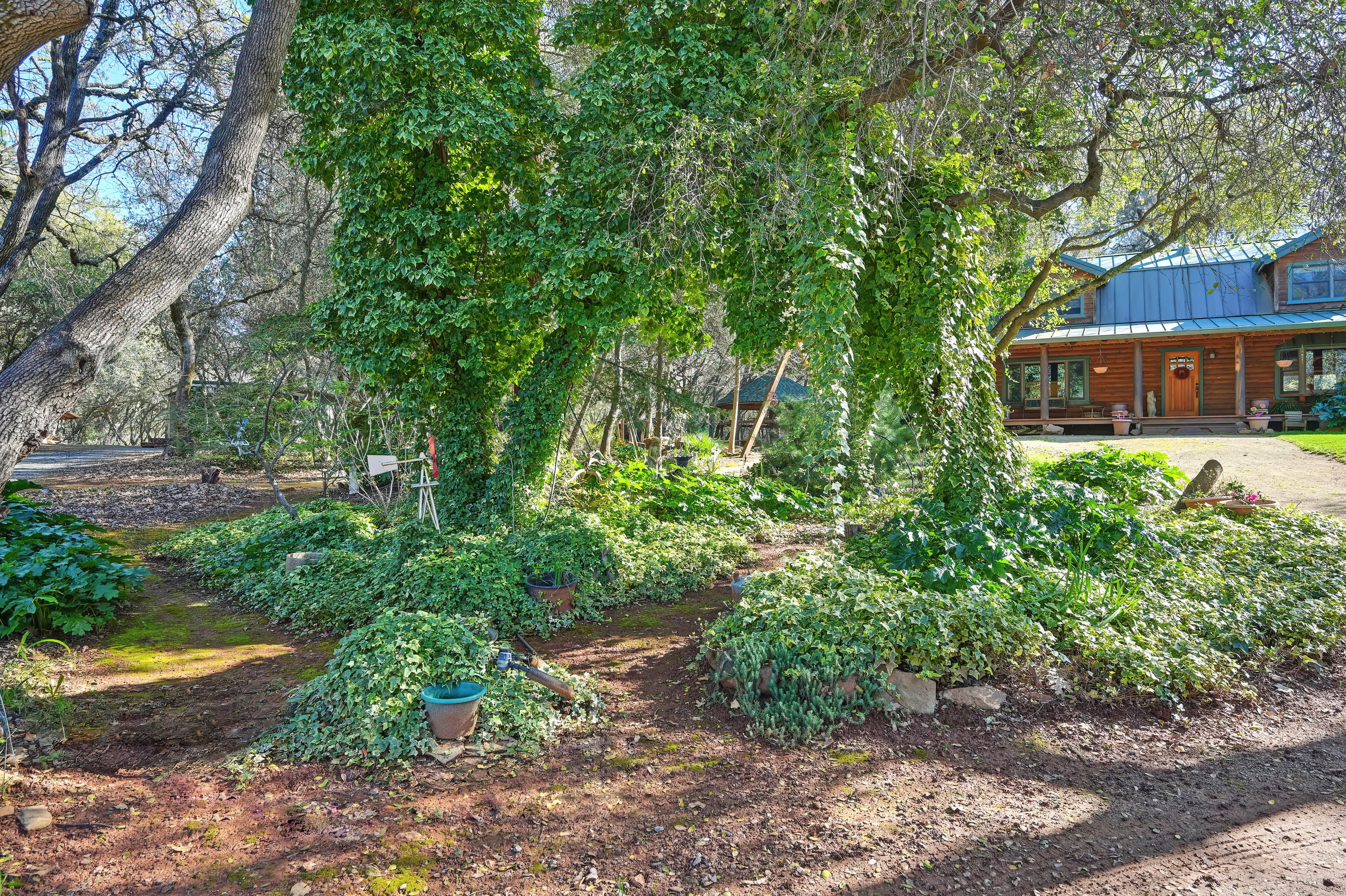 4651 Pilot Creek Ln Photo 4