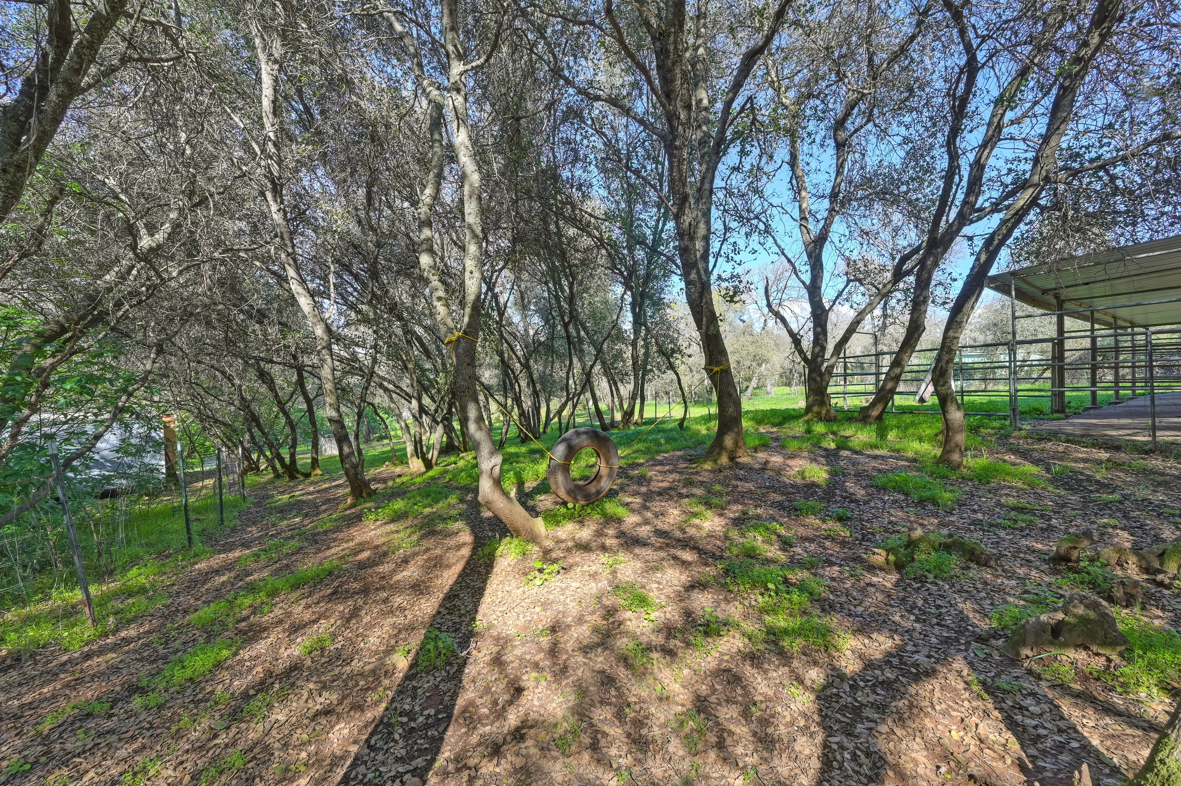 4651 Pilot Creek Ln Photo 34