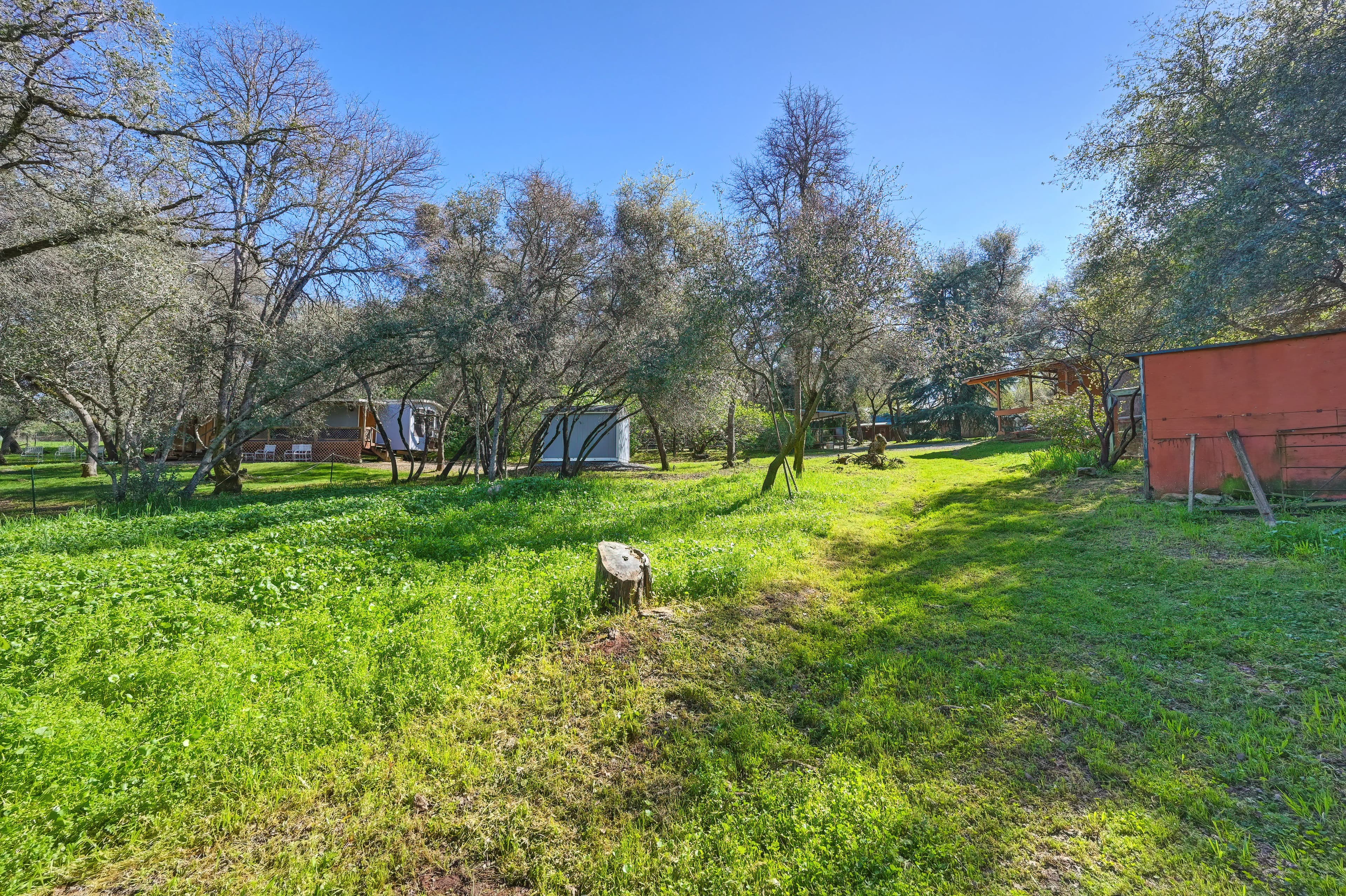 4651 Pilot Creek Ln Photo 36