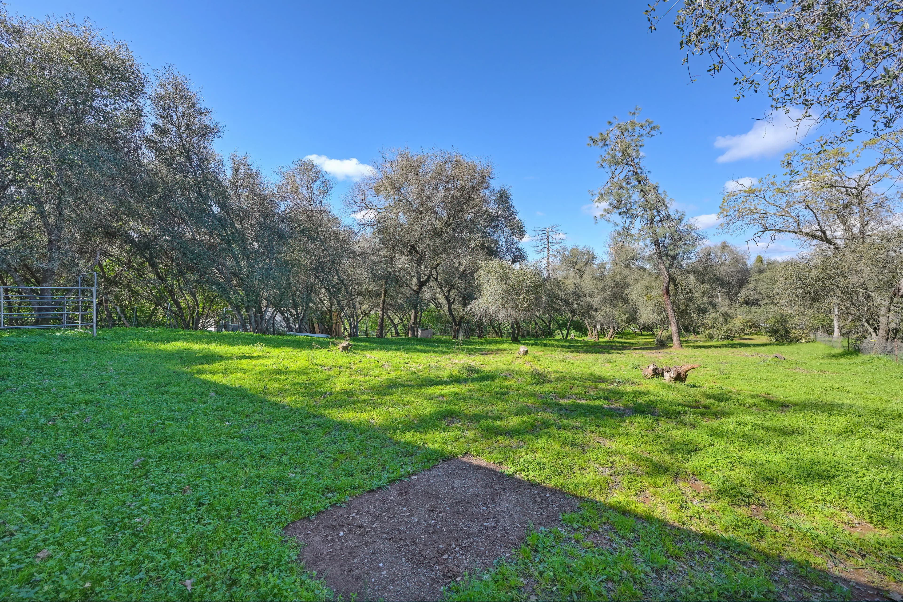 4651 Pilot Creek Ln Photo 38