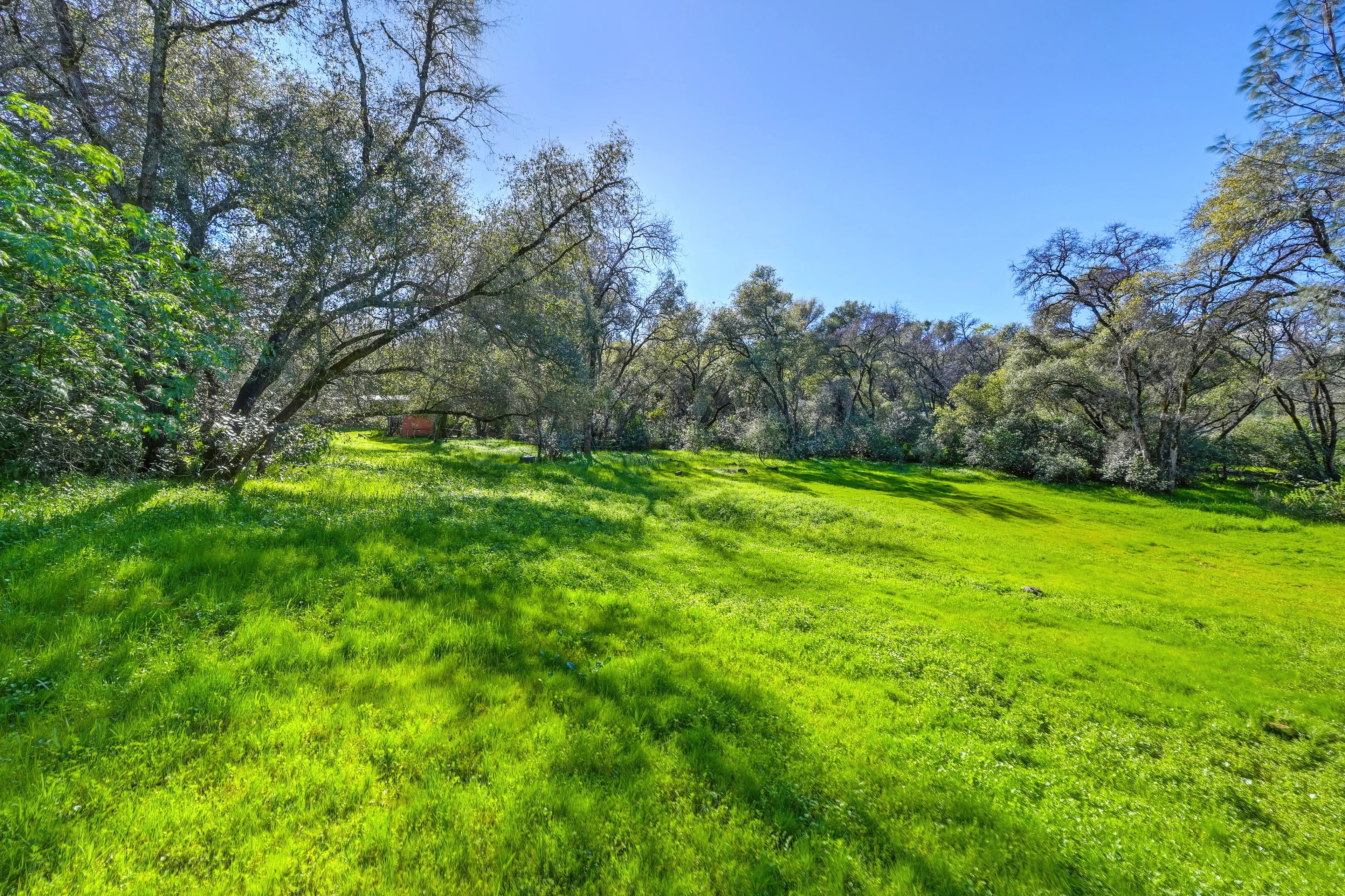 4651 Pilot Creek Ln Photo 23