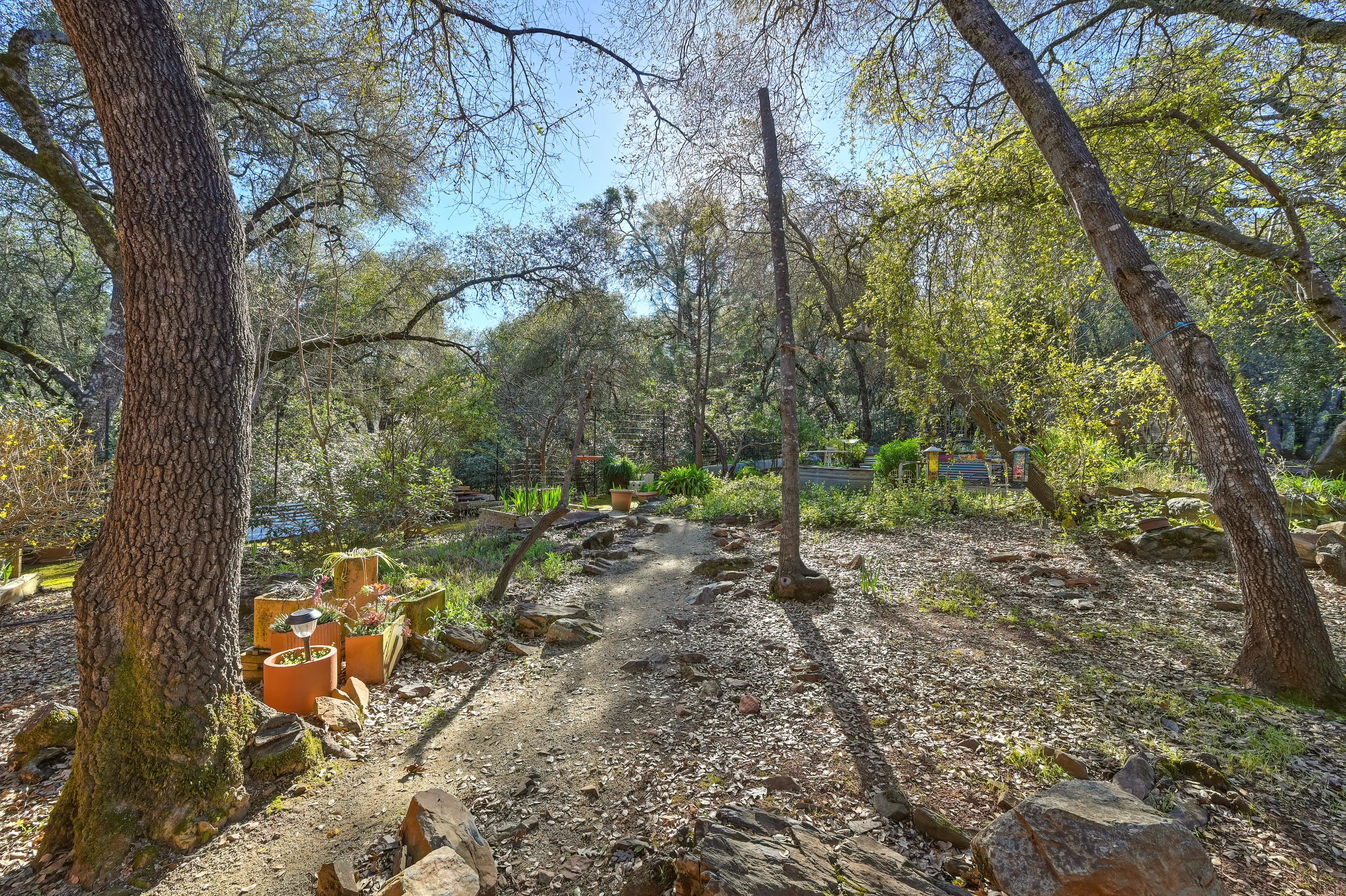 4651 Pilot Creek Ln Photo 19