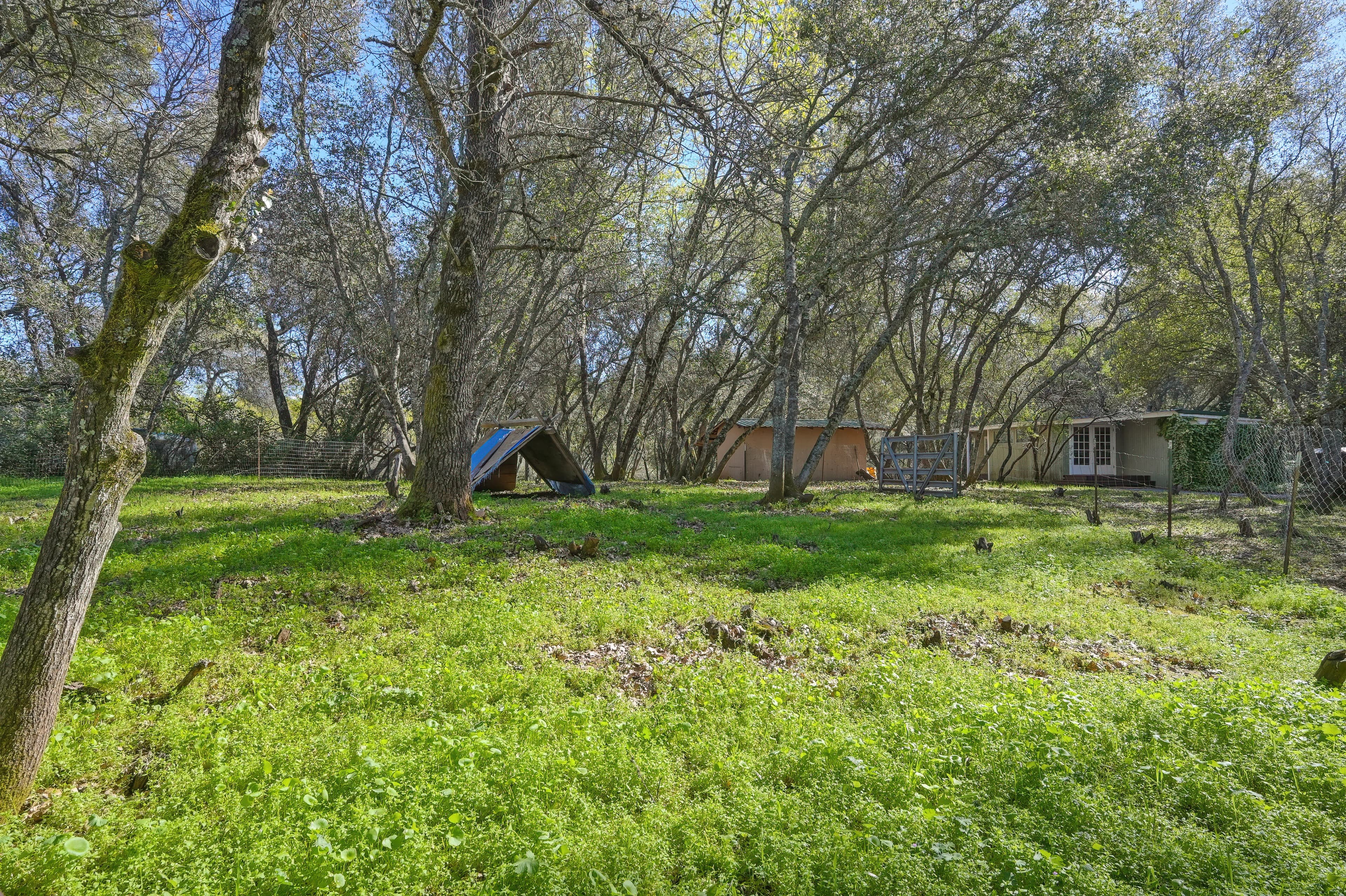 4651 Pilot Creek Ln Photo 35