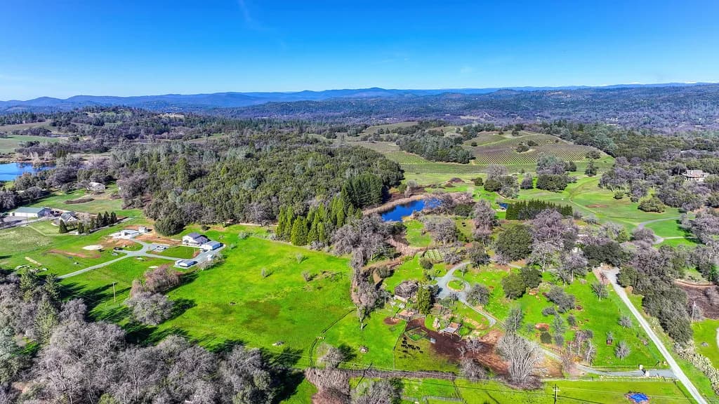 13598 Desperado Dr