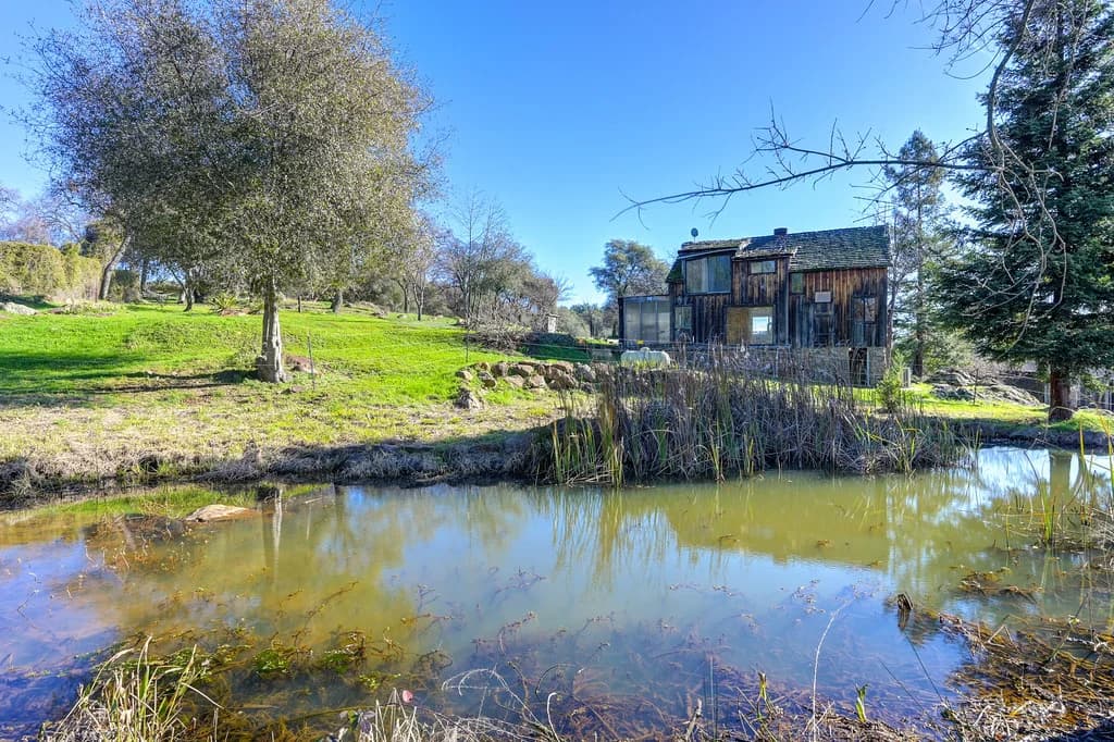 13598 Desperado Dr Photo 9