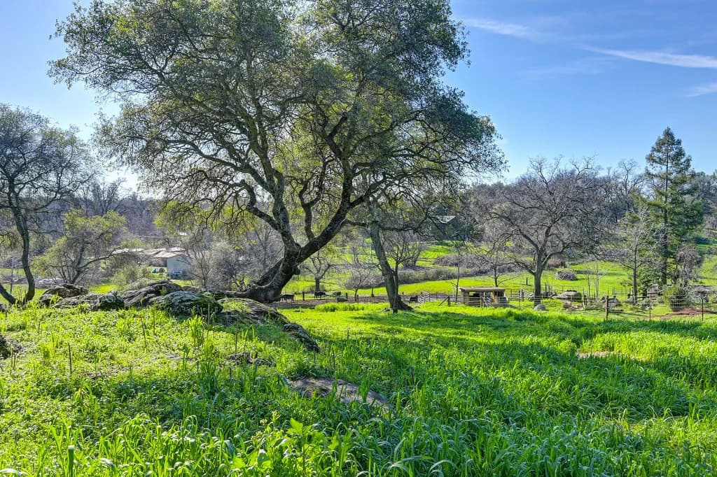 13598 Desperado Dr Photo 12