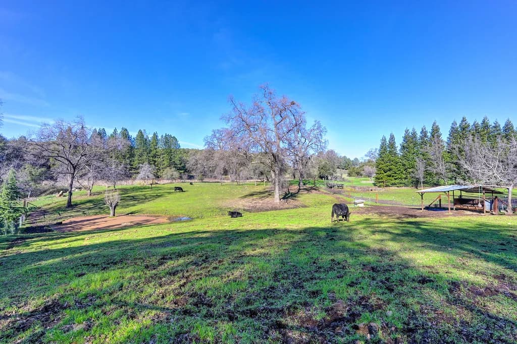 13598 Desperado Dr Photo 11