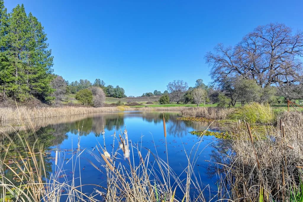 13598 Desperado Dr Photo 14